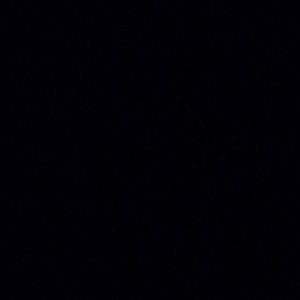 Meet your Posher, Lainey